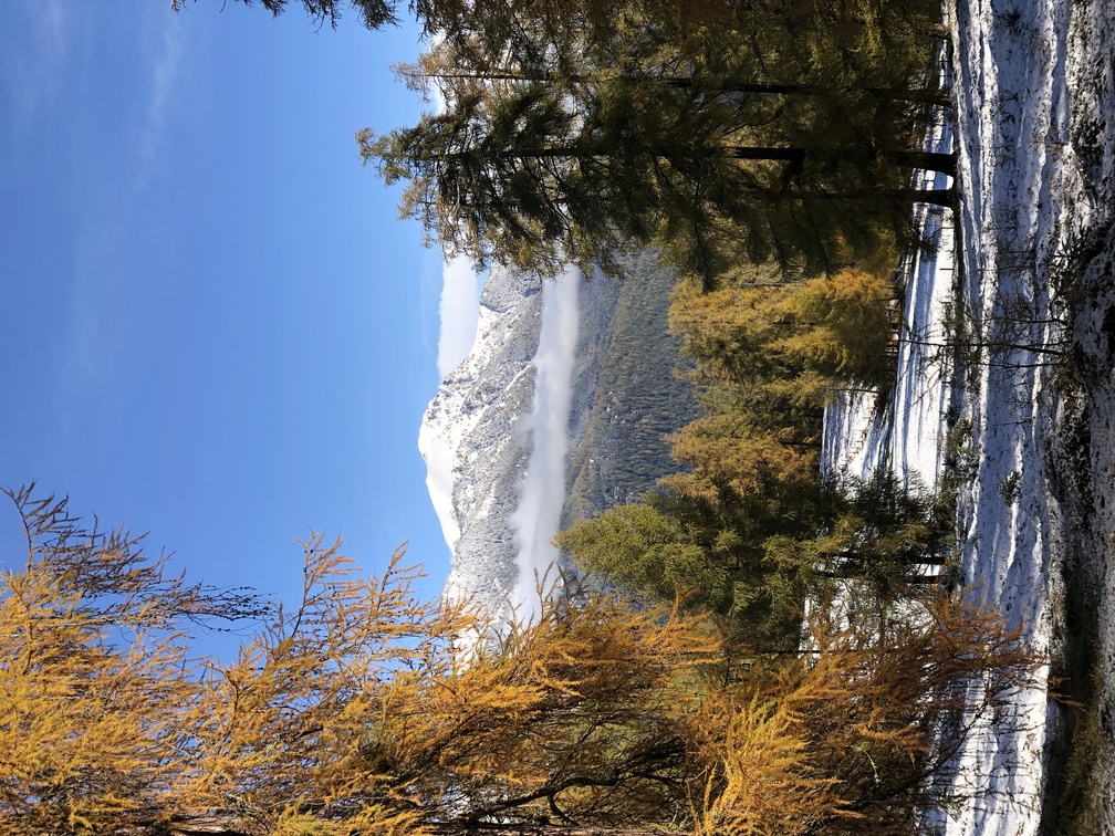 Parco Naturale Monte Corno - larici e panorama a Malga Fraul.