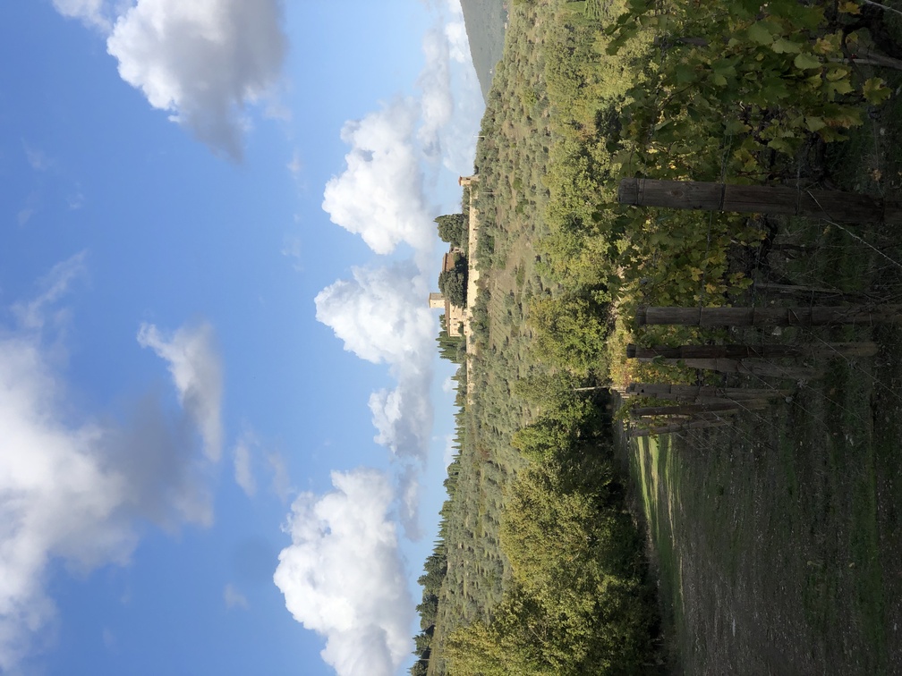 Castello di Colognole.