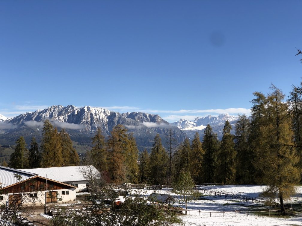 Parco Naturale Monte Corno - larici e panorama a Malga Fraul.