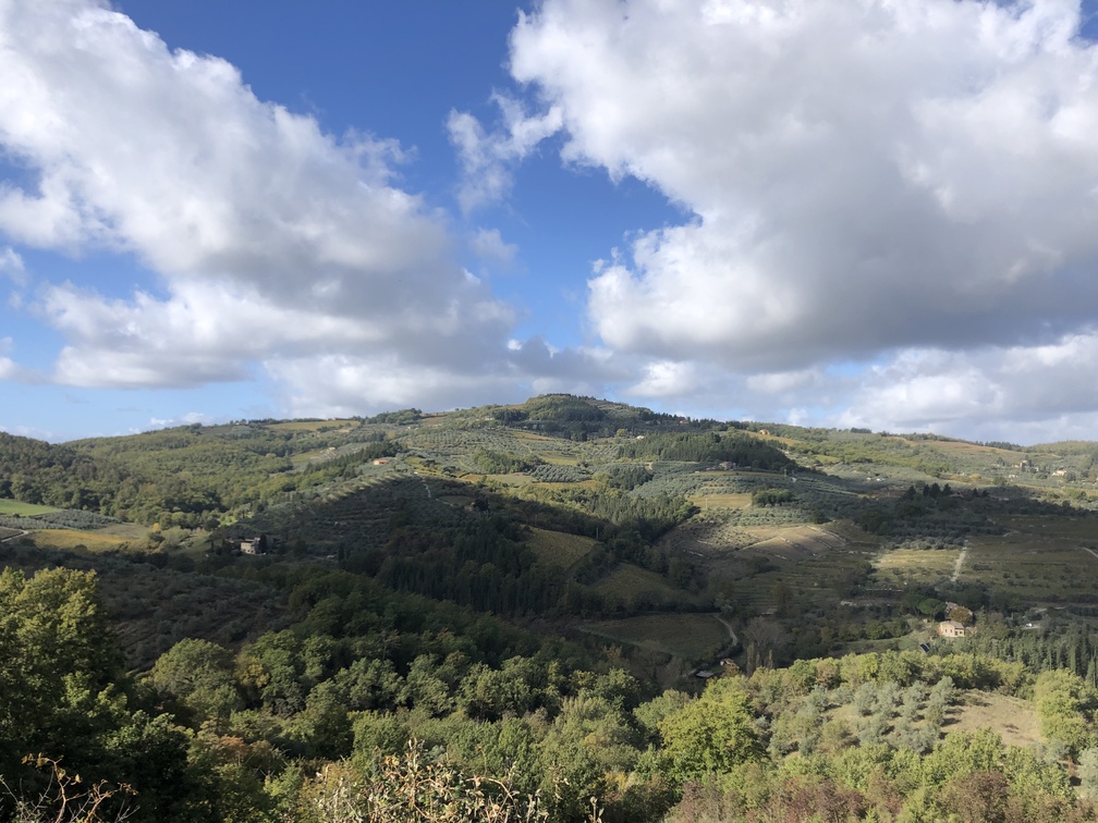 Panorama da Montegonzoli - Monte Fili.