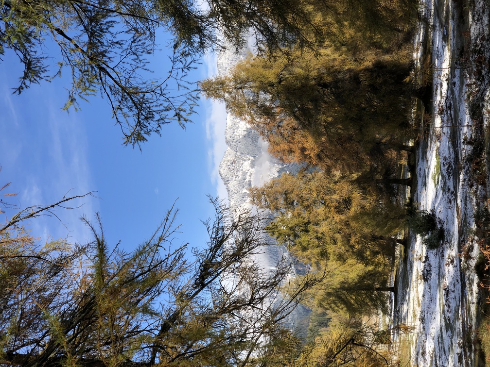 Parco Naturale Monte Corno - larici e panorama sul Lagorai.