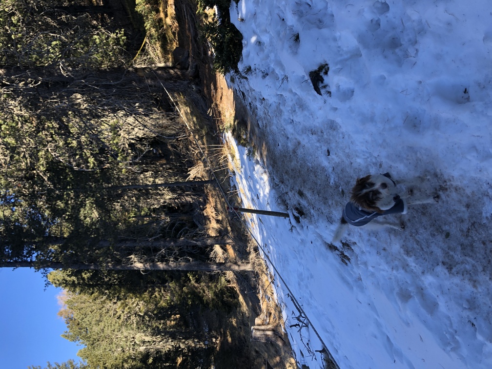Trekking a Pampeago.