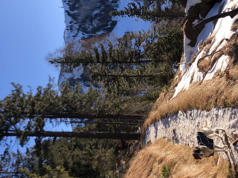 Trekking a Pampeago.
