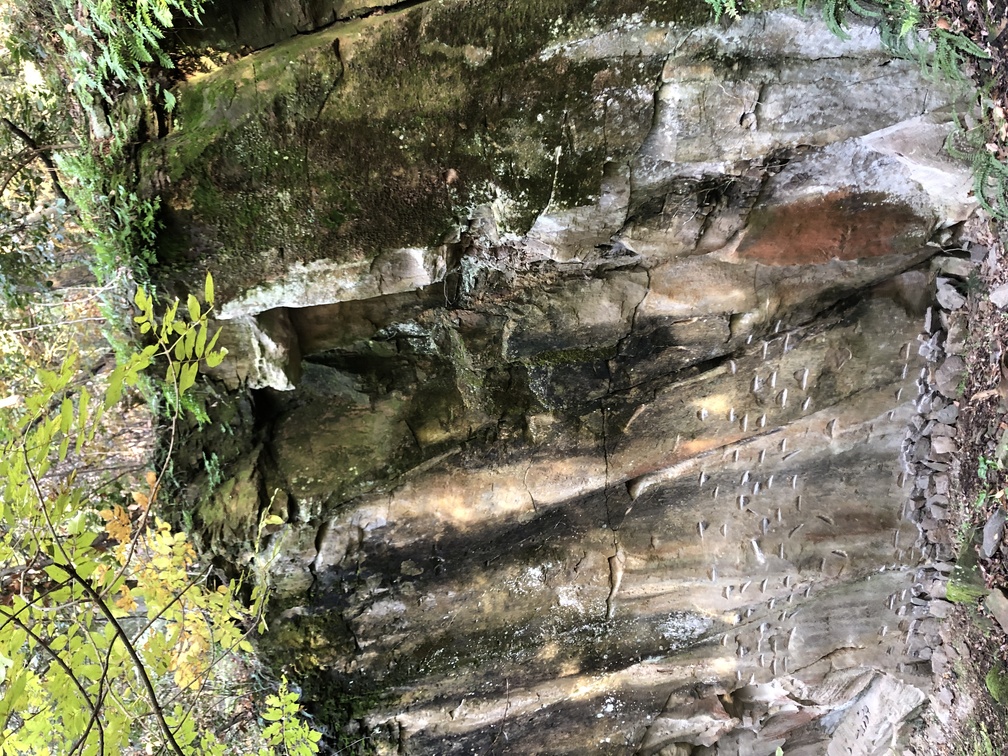 Monte Ceceri - roccia e segni di picchetto lungo il sentiero.