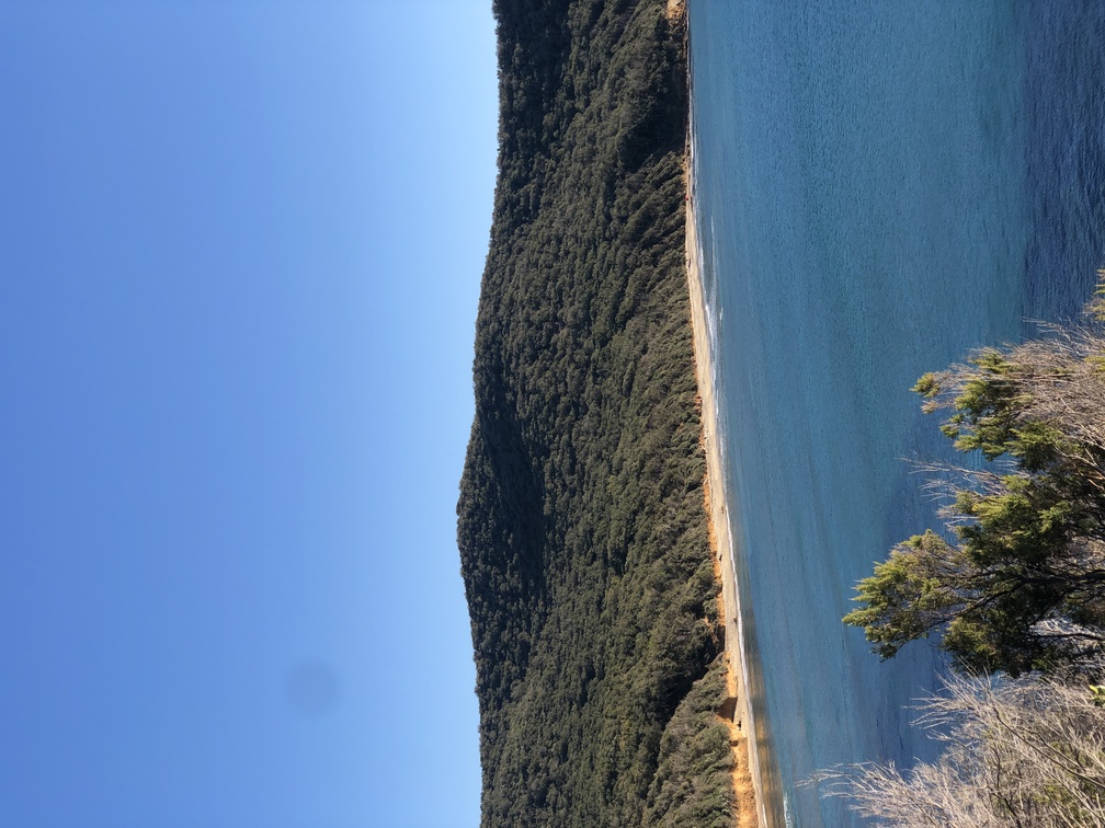 Trekking Le Bandite di Scarlino - panorama su Cala Violina.