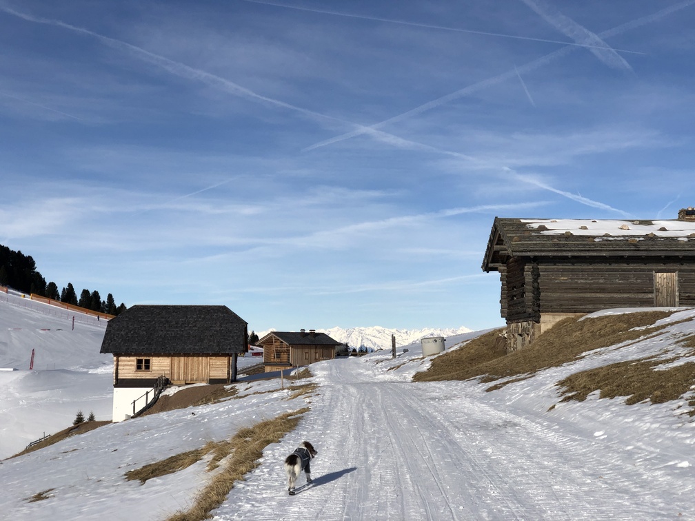 Trekking da Pampeago a Obereggen.