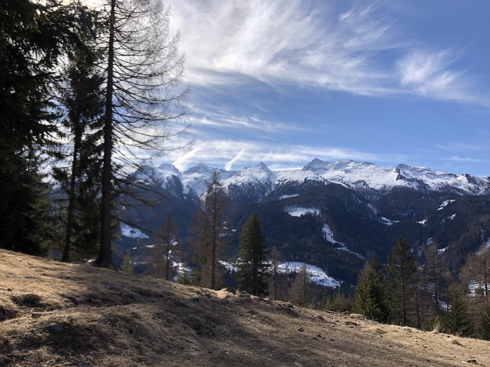 Sentiero Castelir - Malga Canvere.