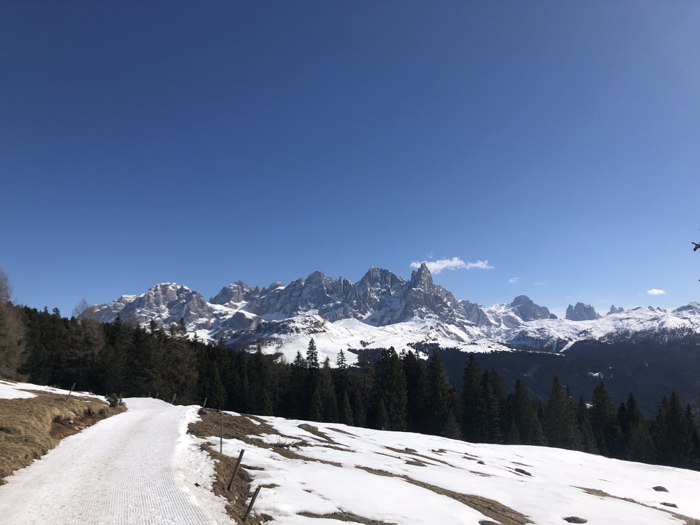 Pale di San Martino - sentiero verso Malga Bocche.