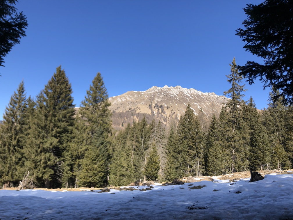 Sentiero Castelir - Malga Canvere.