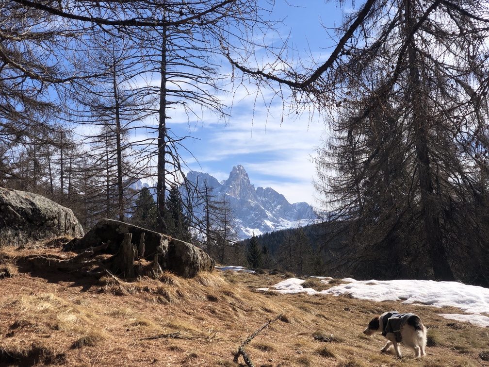 Sentiero Castelir - Malga Canvere.