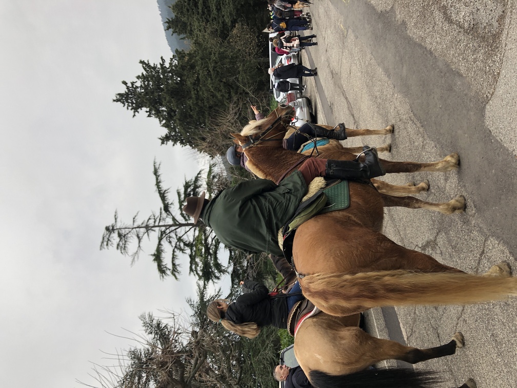 Festa di Sant'Antonio - corteo verso la Chiesa di Sant'Andrea.