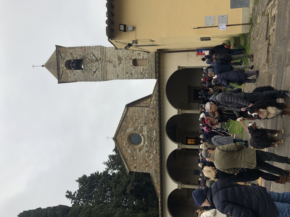 Chiesa di Sant'Andrea - benedizione degli animali durante la Festa di Sant'Antonio.