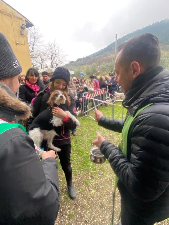 Festa di Sant'Antonio - benedizione degli animali (2024).