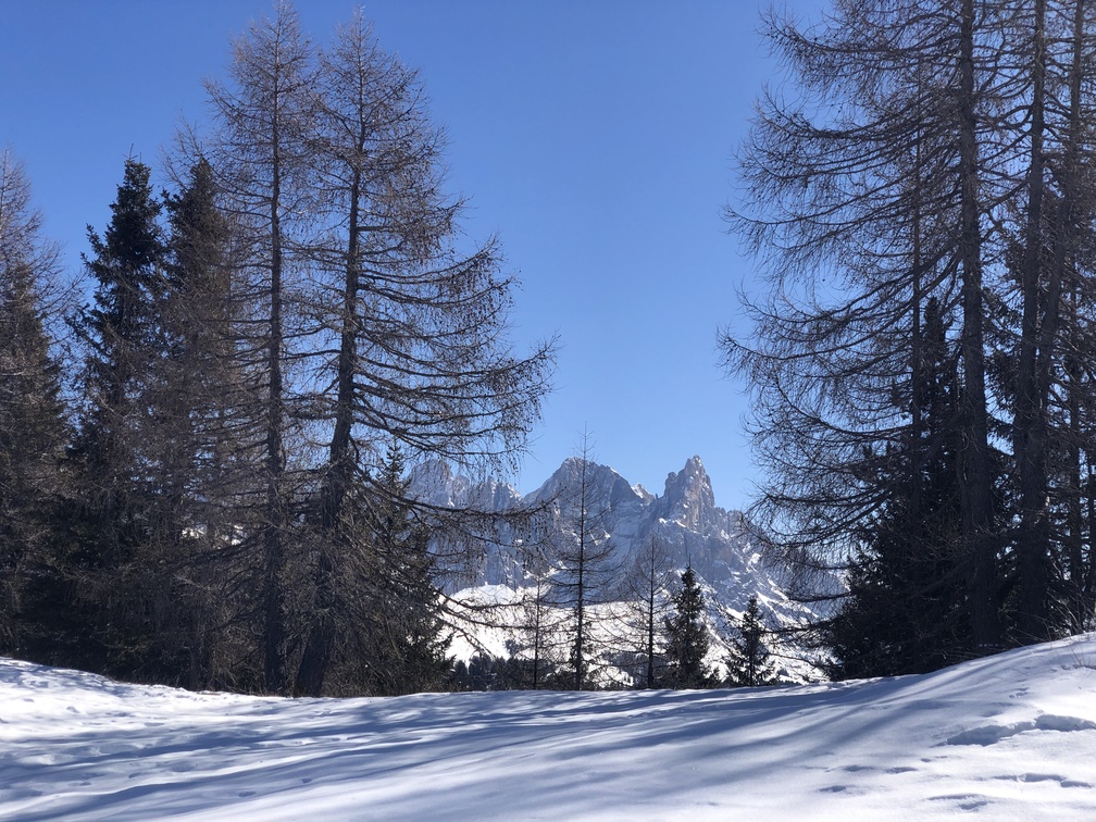 Pale di San Martino.