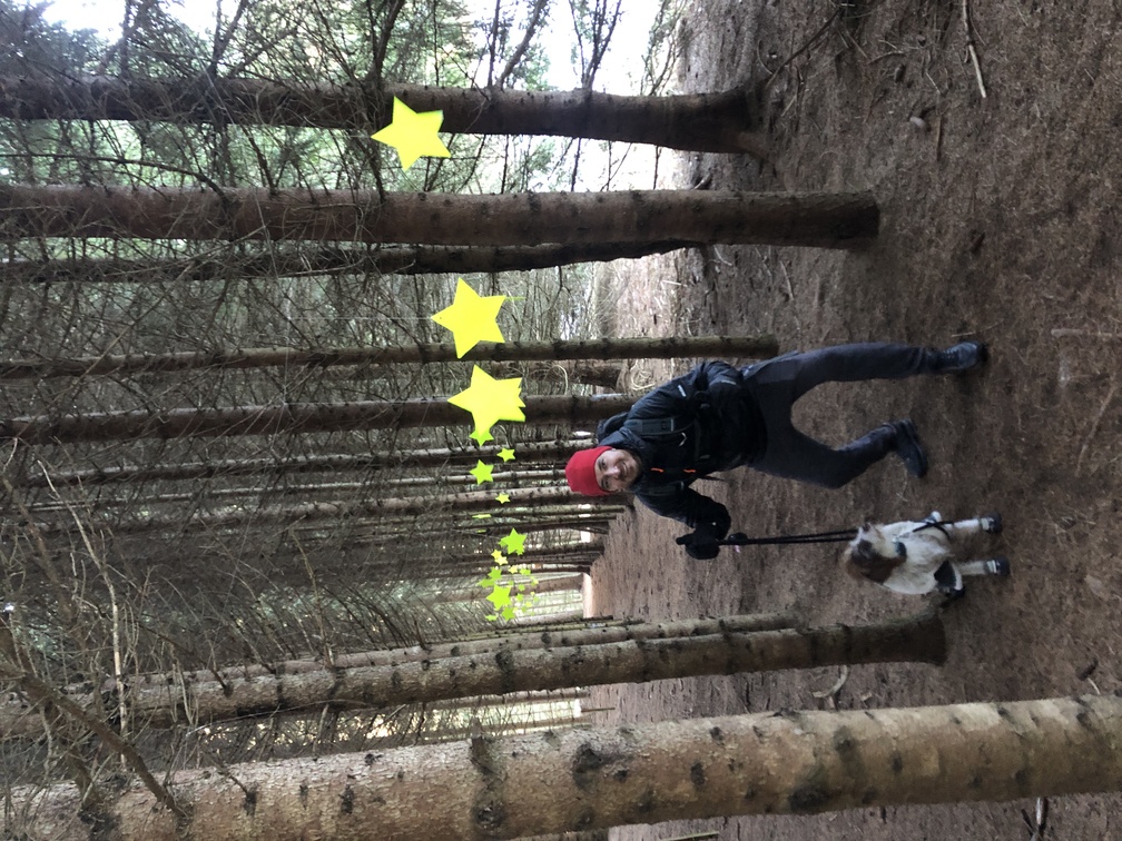 Presepi nel Bosco di Zanolin - edizione inverno 2023/2024.