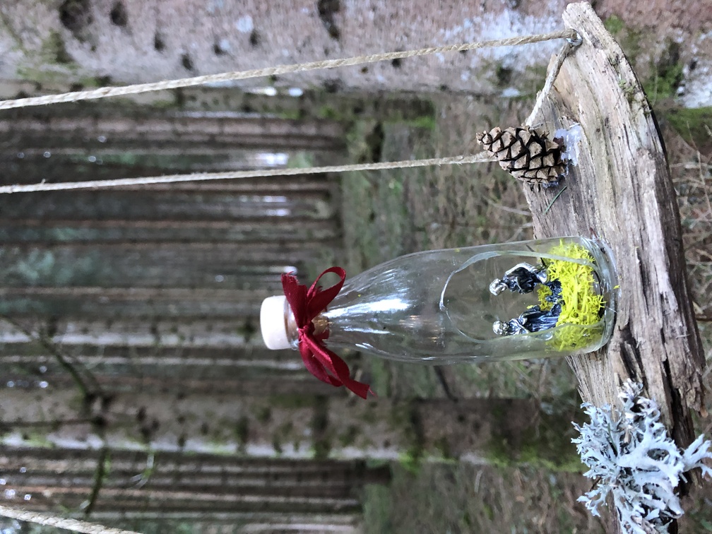 Presepi nel Bosco di Zanolin - edizione inverno 2023/2024.