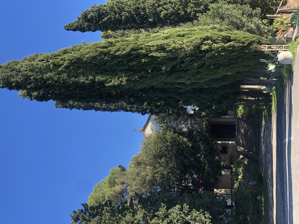 Chiesa di Santa Maria a Petroio.