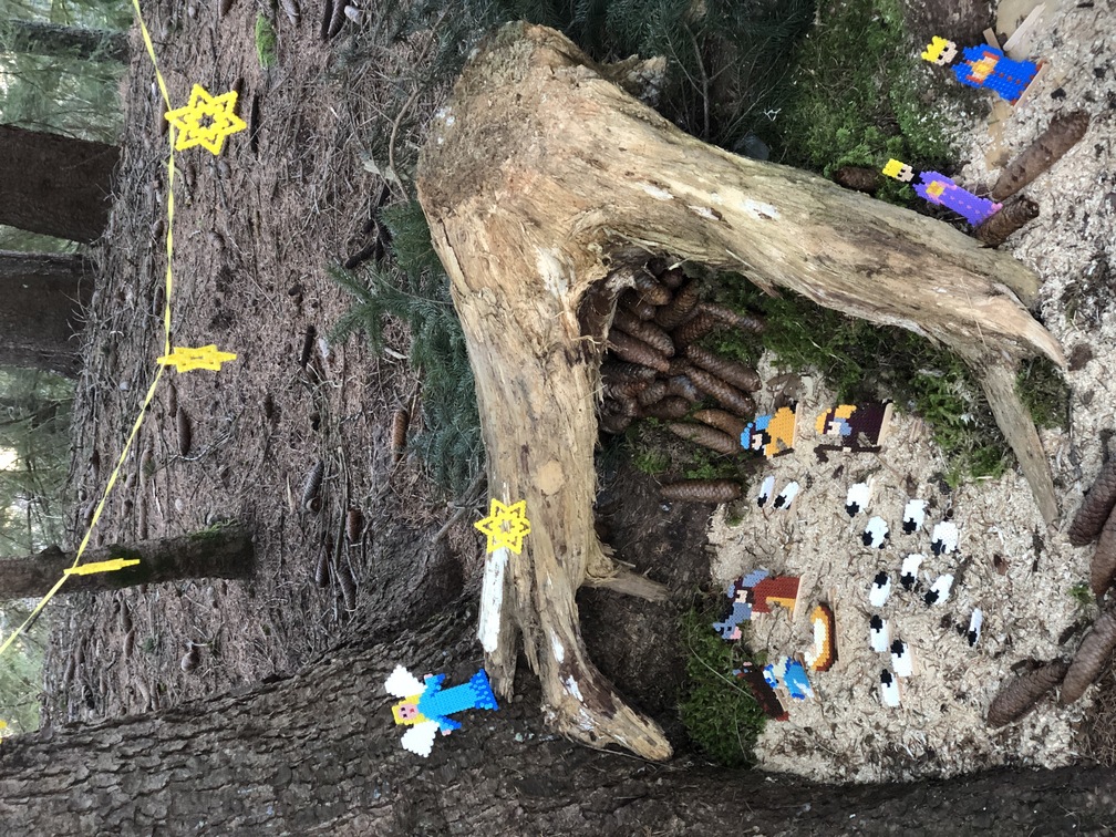 Presepi nel Bosco di Zanolin - edizione inverno 2023/2024.