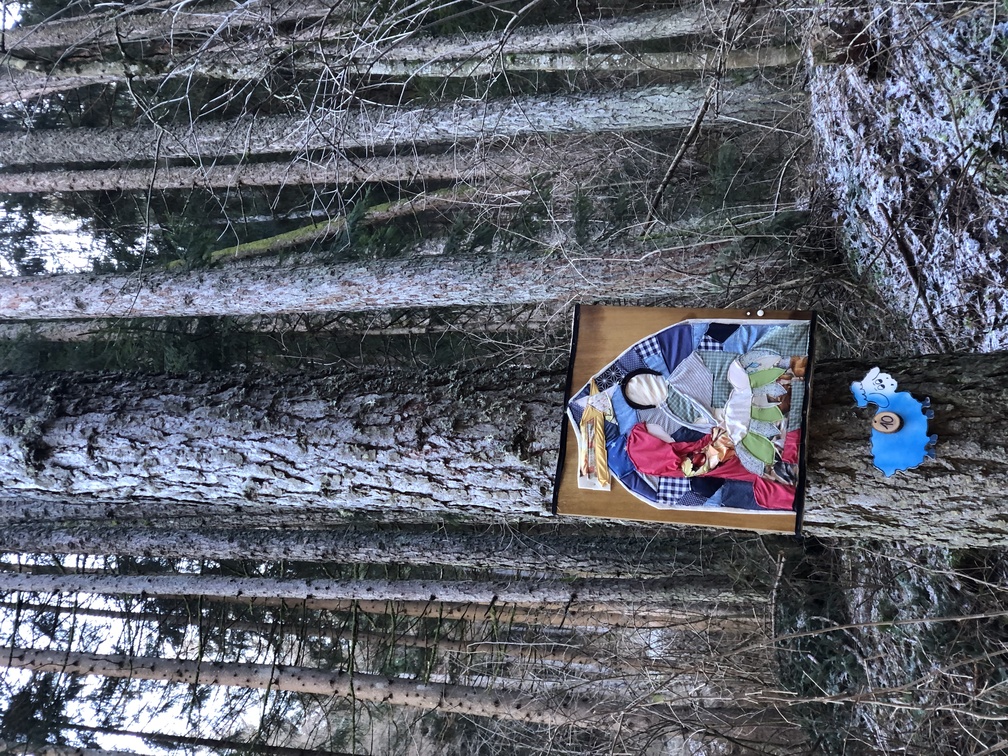 Presepi nel Bosco di Zanolin - edizione inverno 2023/2024.