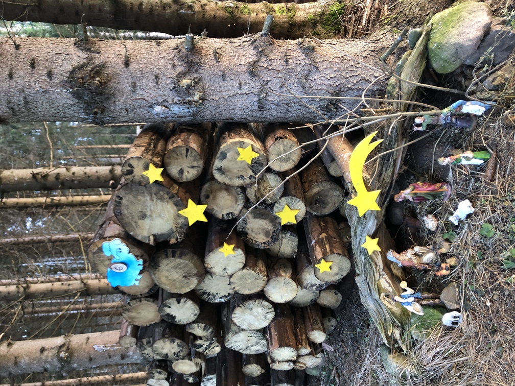 Presepi nel Bosco di Zanolin - edizione inverno 2023/2024.