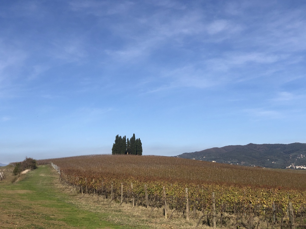 Trekking a Petroio - Collina dei Cipressi.
