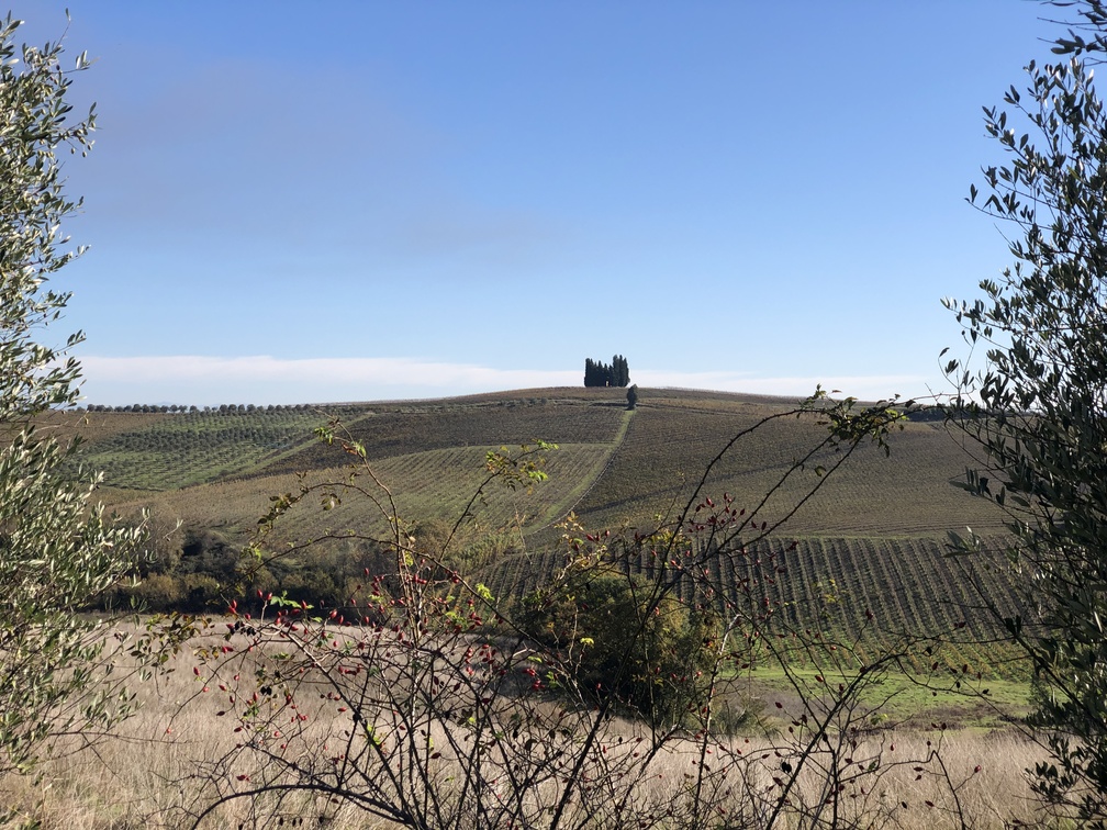 Trekking a Petroio - paesaggio e Collina dei Cipressi.