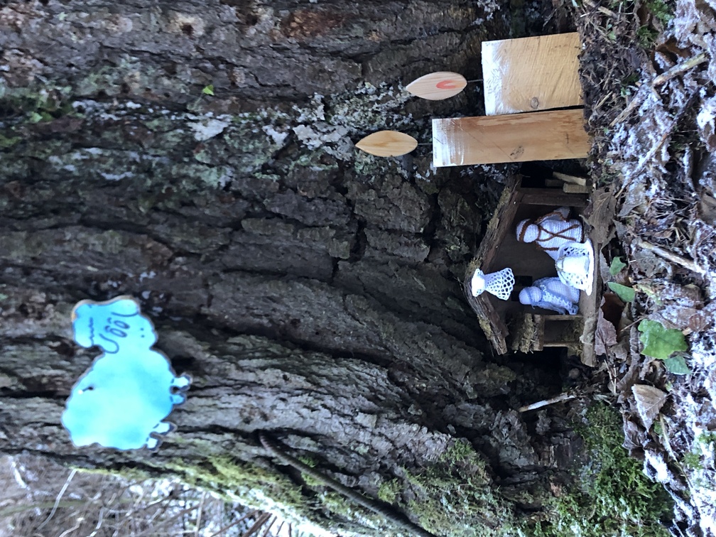 Presepi nel Bosco di Zanolin - edizione inverno 2023/2024.
