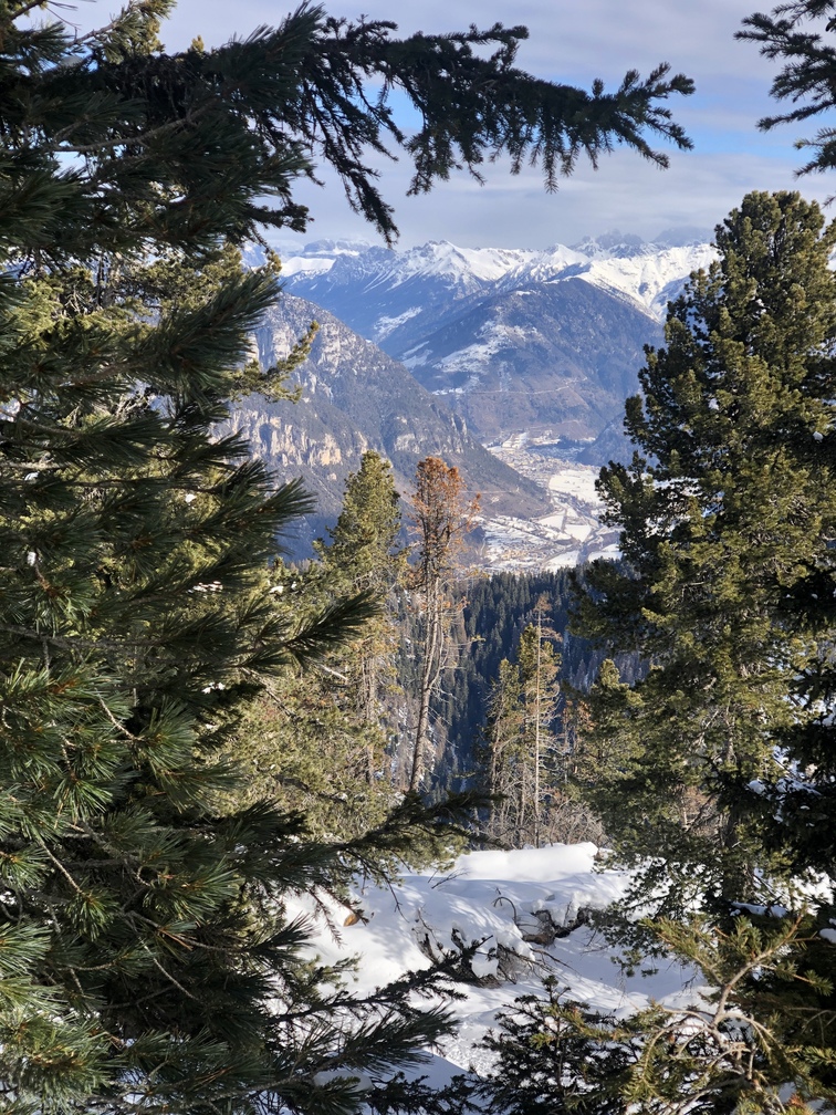 Alpe Cermis - passeggiata invernale Orizzonti Dolomitici.