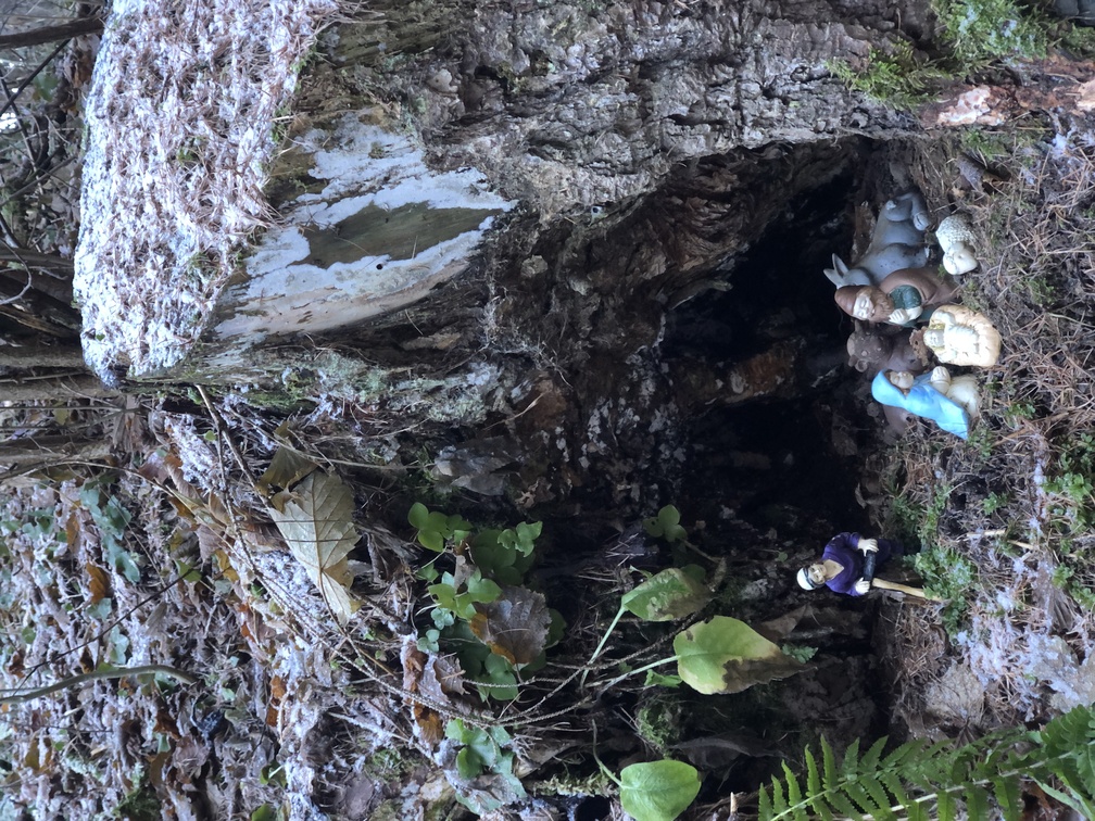 Presepi nel Bosco di Zanolin - edizione inverno 2023/2024.