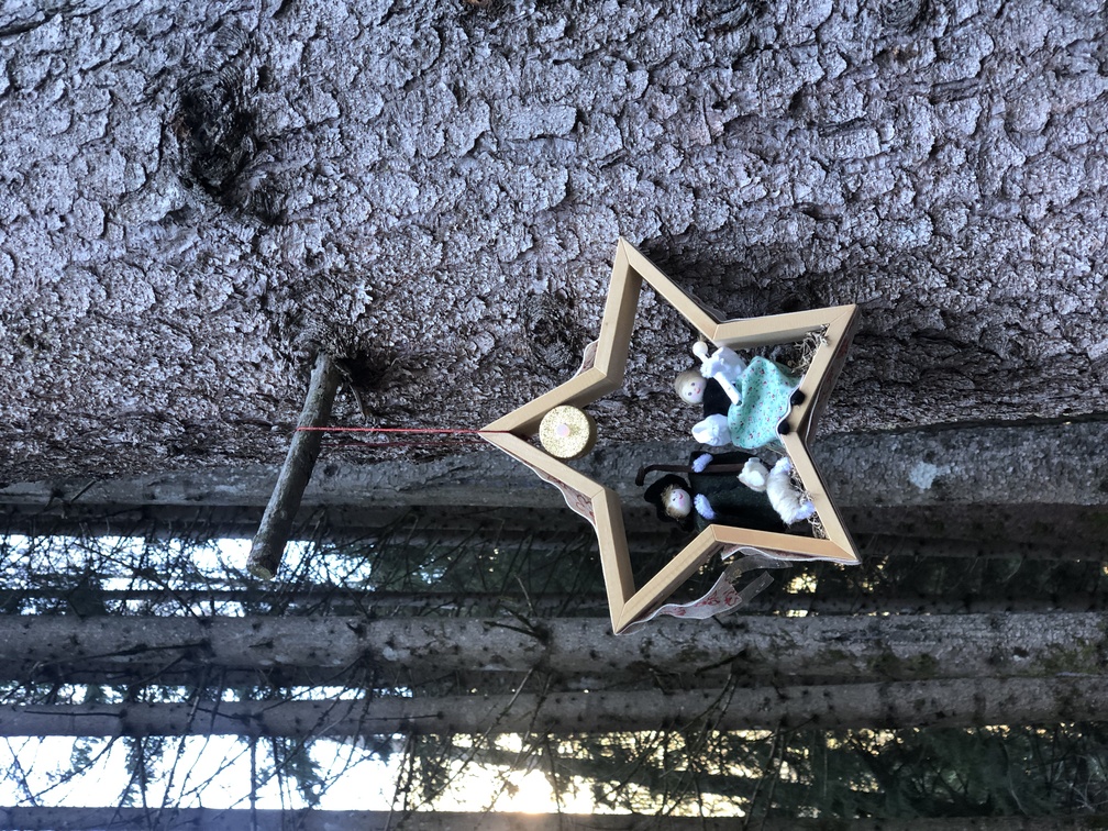 Presepi nel Bosco di Zanolin - edizione inverno 2023/2024.