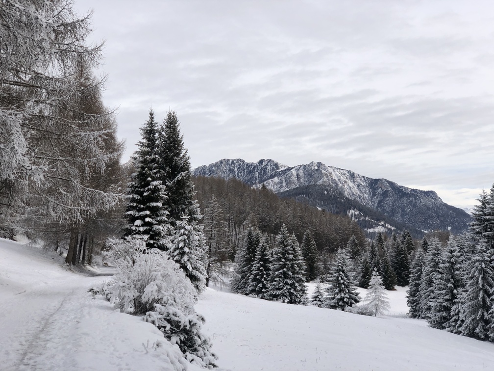 Giro del Solombo - panorama su Monte Cucal e Cornacci in località Ganzaie.