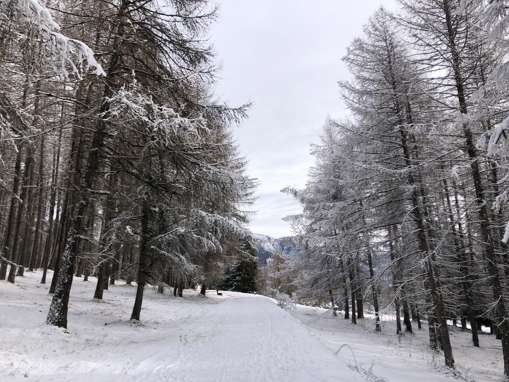 Giro del Solombo - in direzione Ganzaie.
