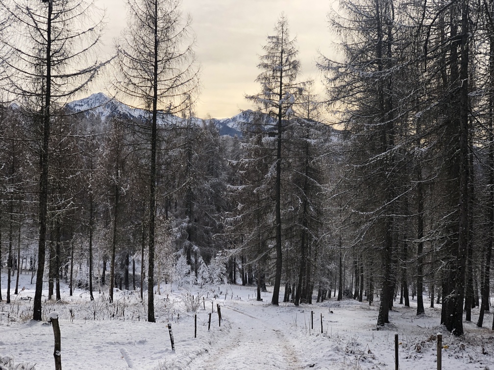 Giro del Solombo - discesa lungo il percorso Badalò.