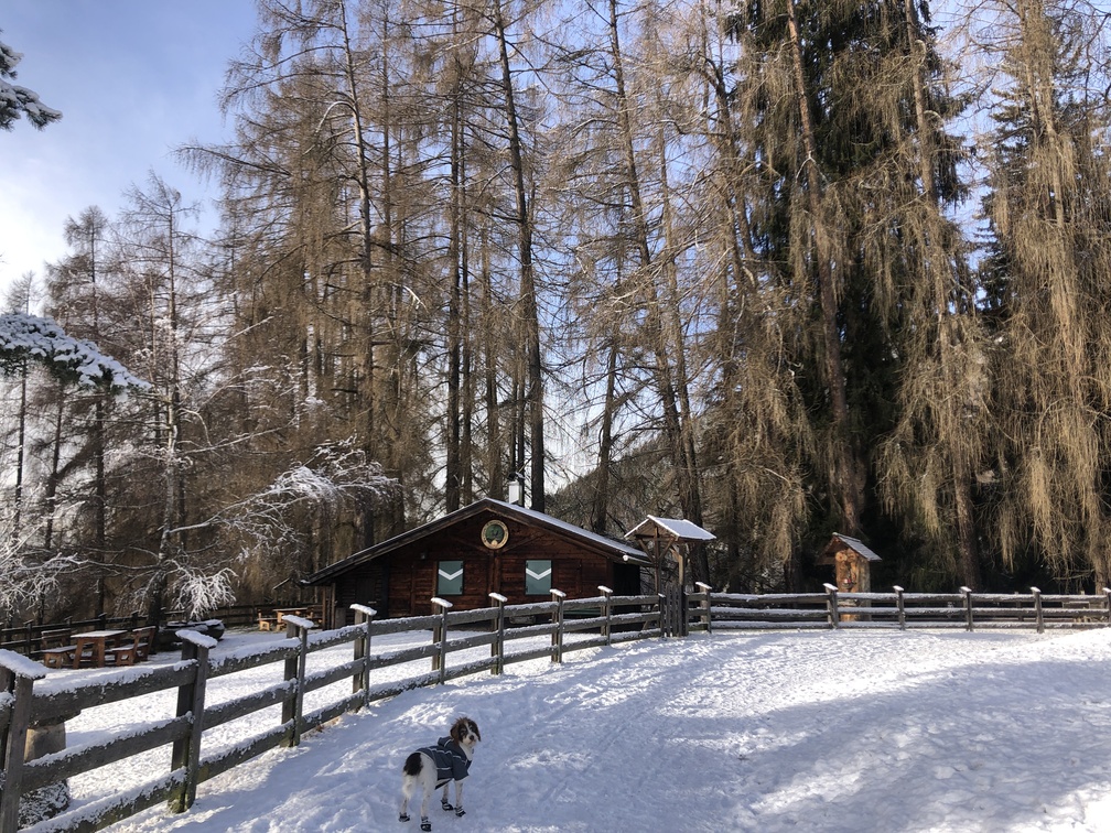 Giro del Solombo - baita in legno.