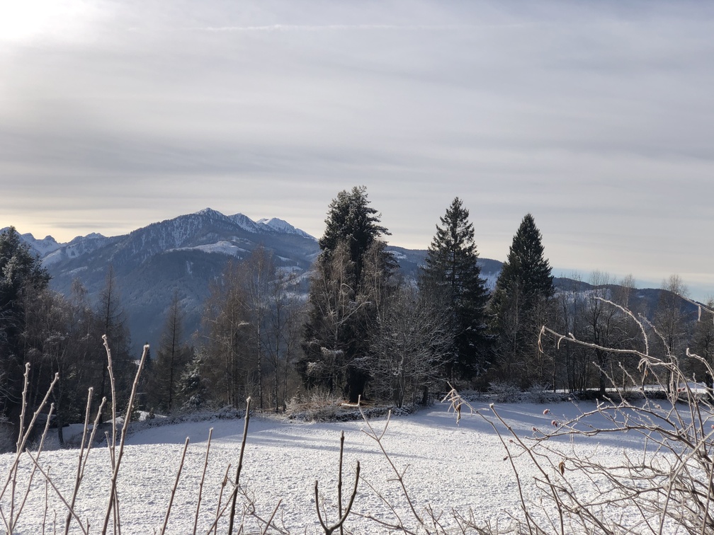 Giro del Solombo - panorama sulla catena del Lagorai.