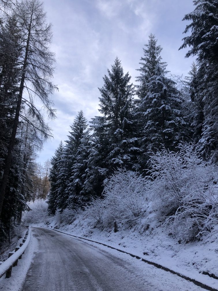 Giro del Solombo - strada asfaltata verso Calvello.
