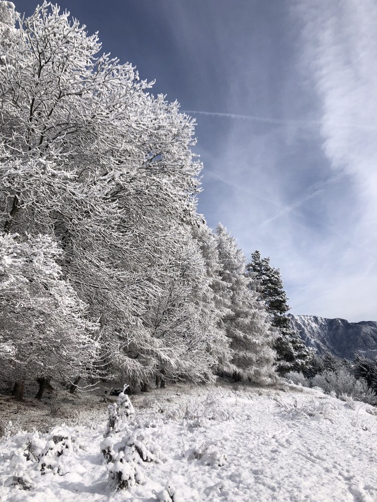 Percorso verso Daiano - sentiero innevato e bosco.