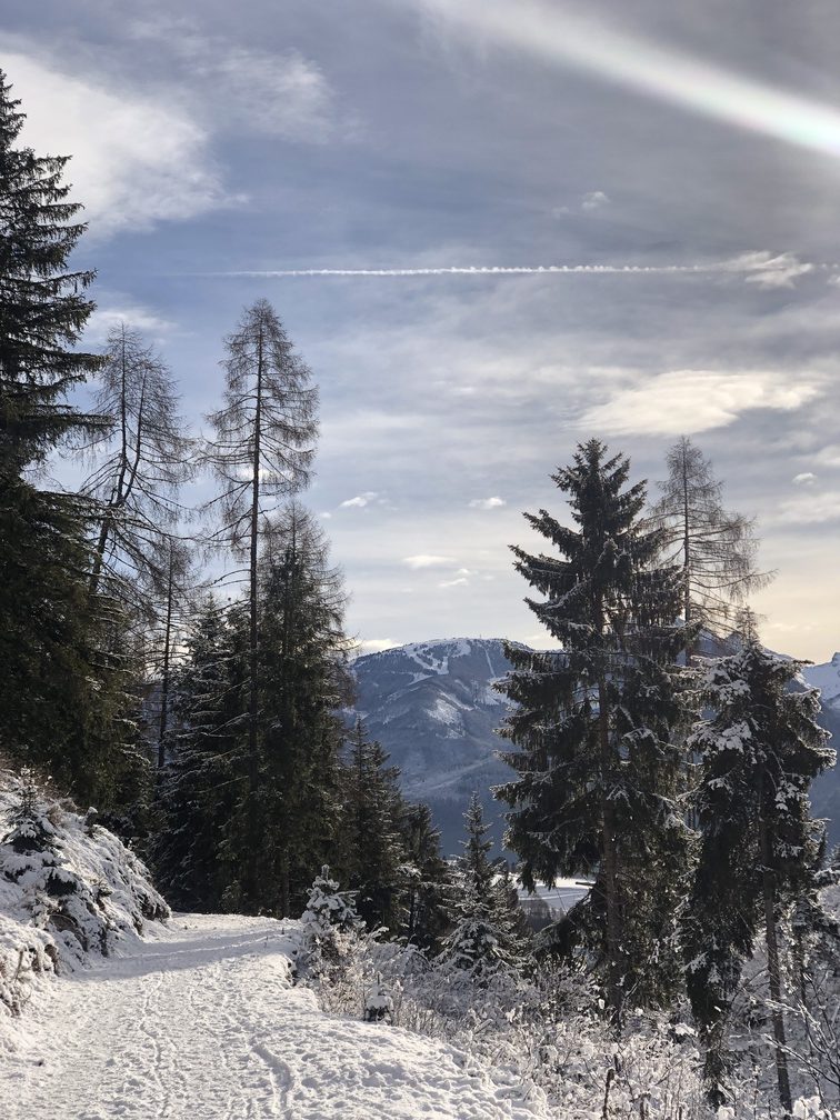 Giro del Solombo - panorama su Lagorai, in particolare sul Monte del Cermis.
