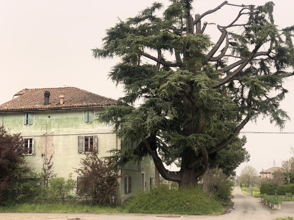 Via dei Ciliegi a Vignola - frazione di Pesa.
