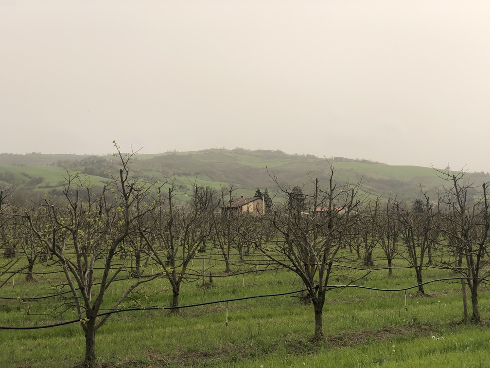 Via dei Ciliegi a Vignola - veduta sulle colline circostanti.