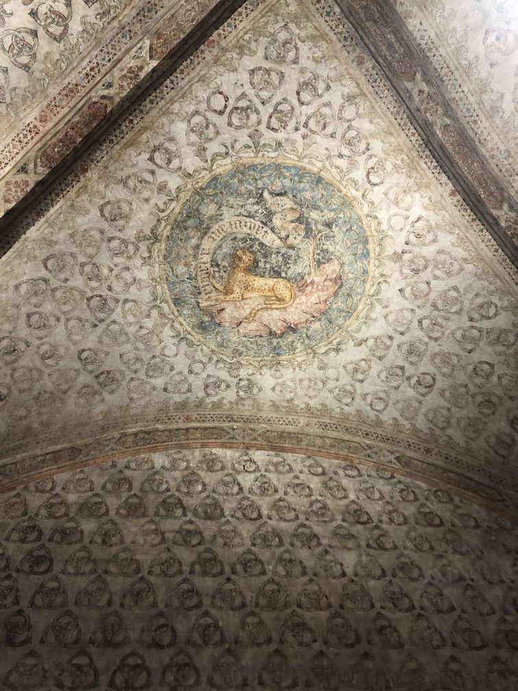 Rocca di Vignola - Sala degli Anelli.