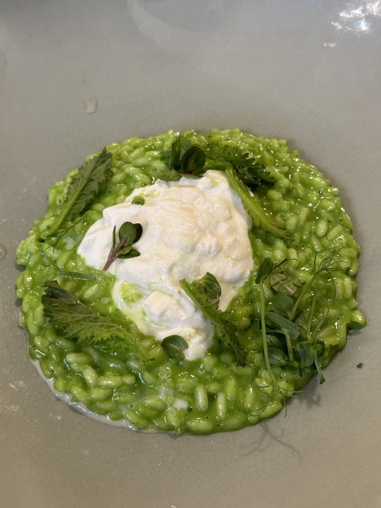 istorante Zur Rose - Risotto al basilico - burrata - erbette dell’orto.
