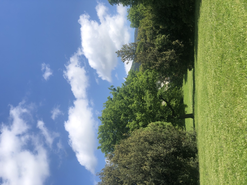 Parco di Villa Solaria.