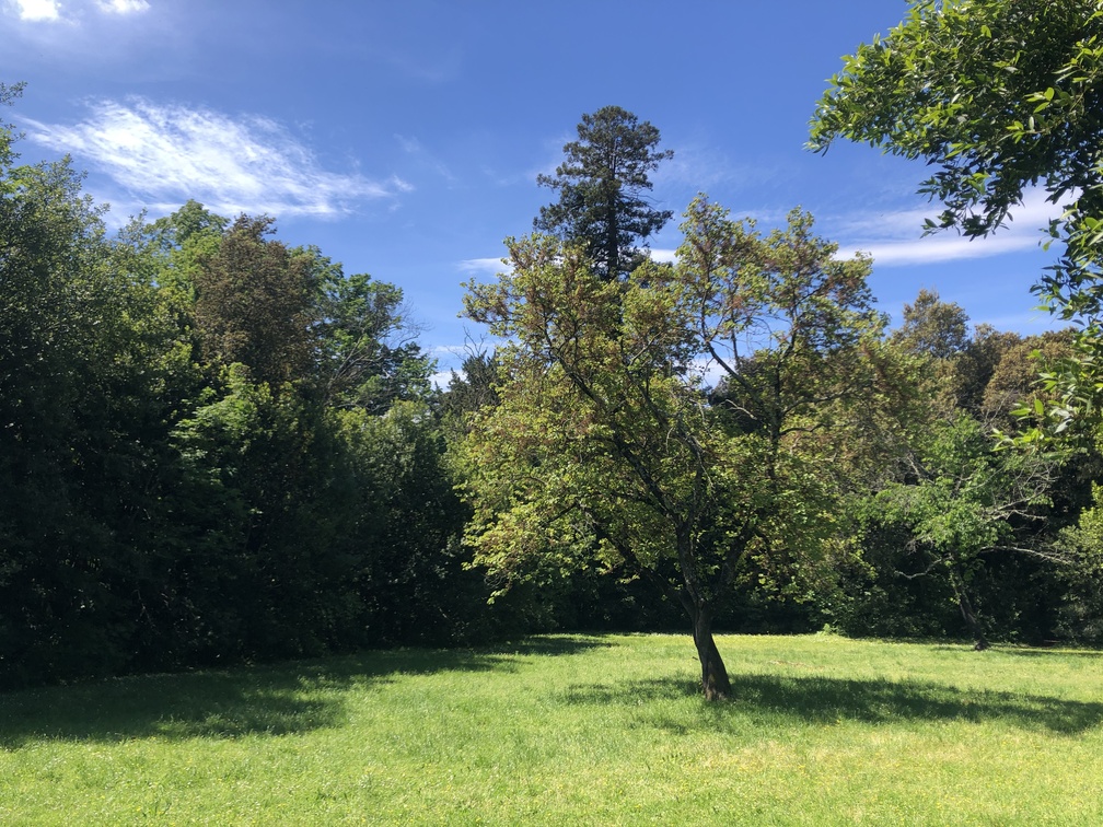 Parco di Villa Solaria.