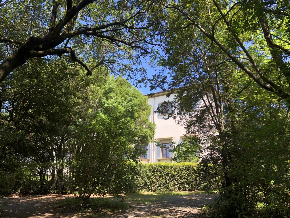 Parco di Villa Solaria - Villa Solaria.