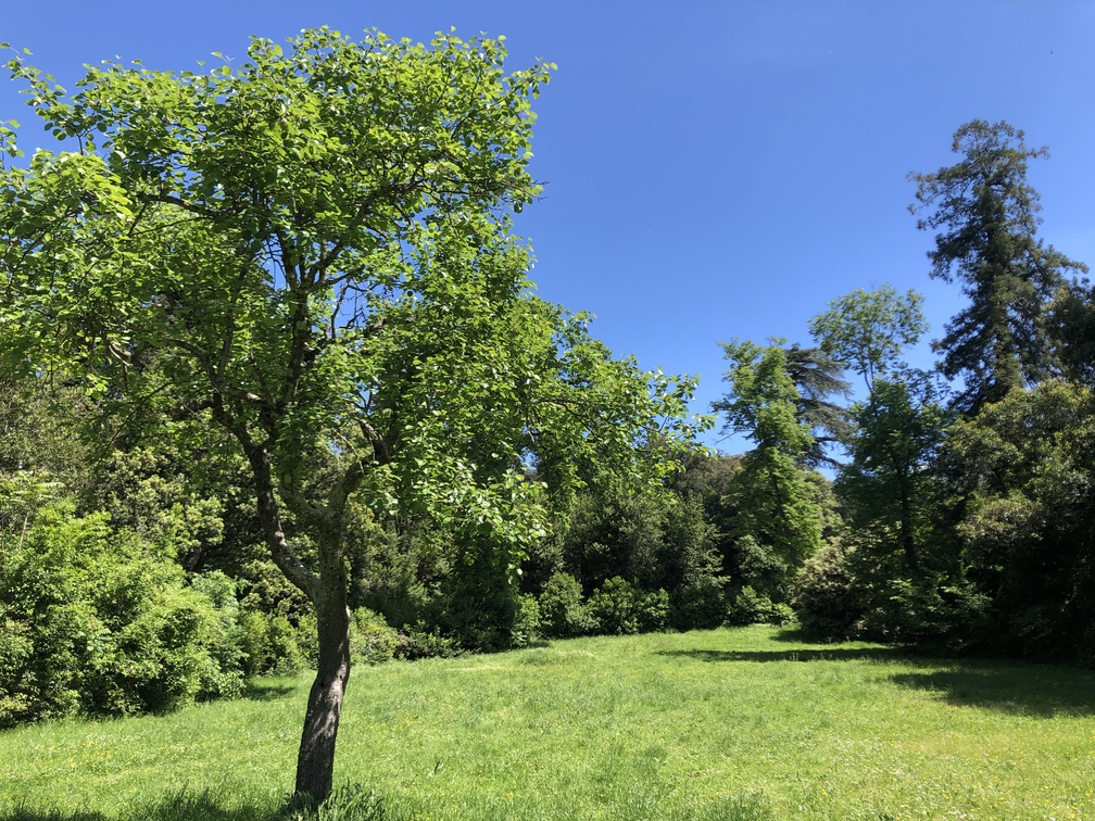 Parco di Villa Solaria.