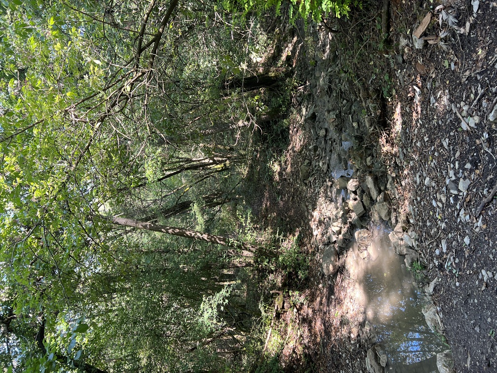 Trekking Monte Morello - Torrente Carzola.