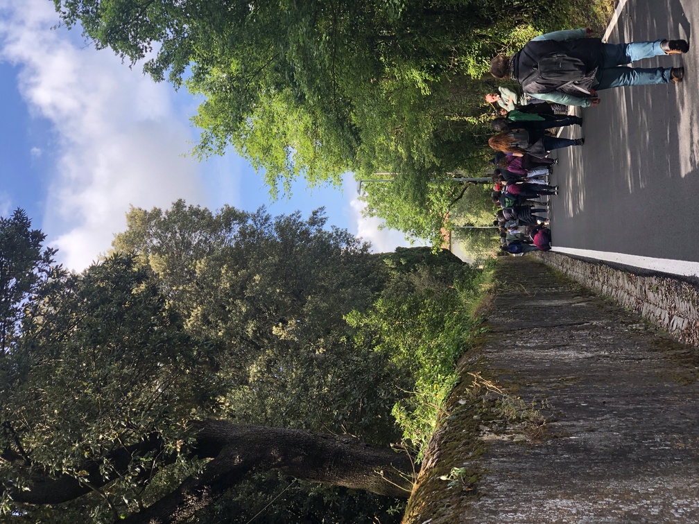 Strada murata tra il parco di Villa Solaria e il Parco degli Etruschi.