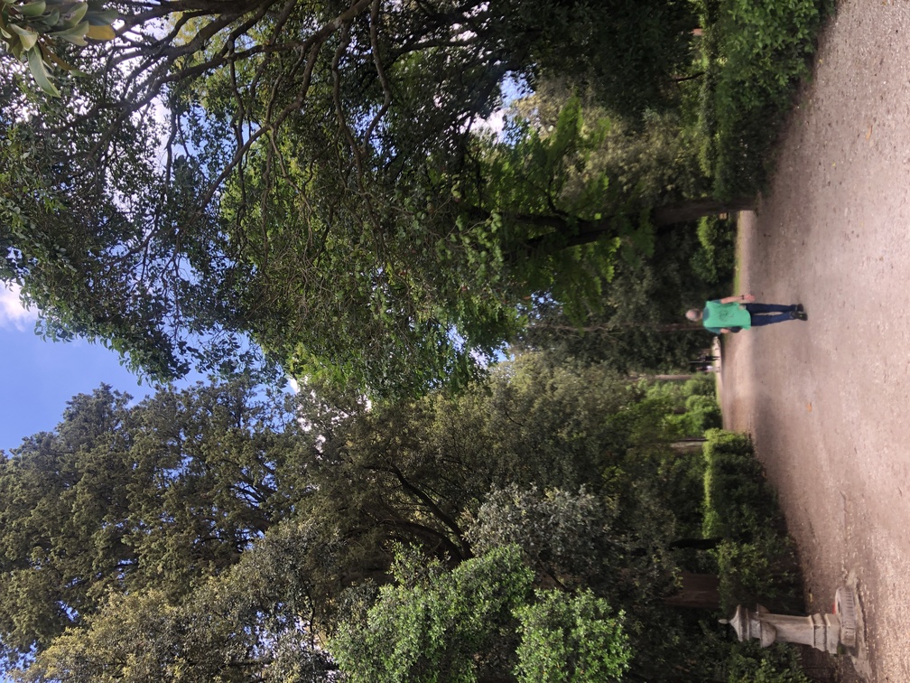 Parco di Villa Solaria.