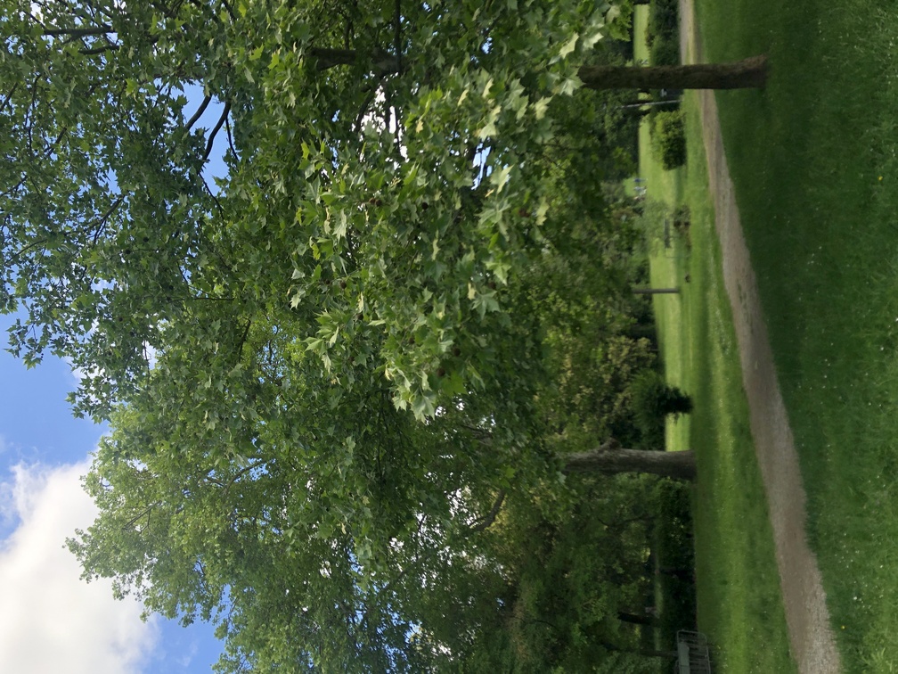 Parco di Villa Solaria.